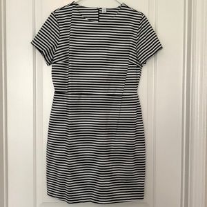 Black and White Stripped Knit Dress
